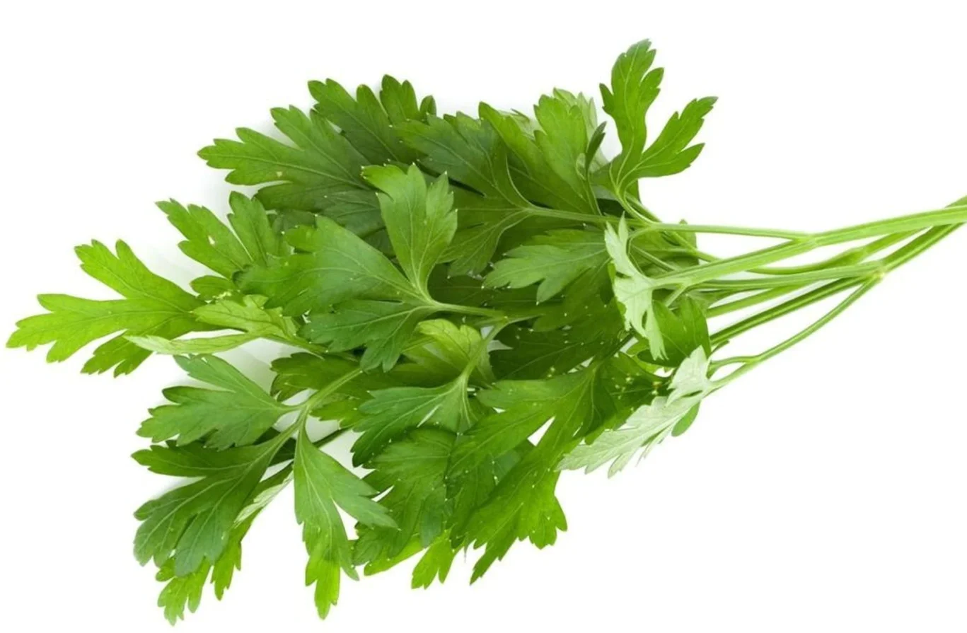 Parsley