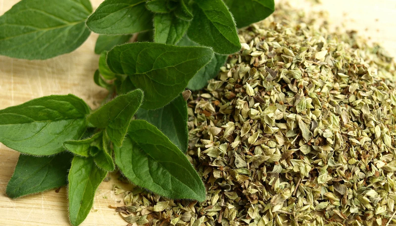 oregano